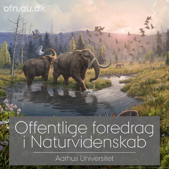 Urtiden - nutiden - fremtiden