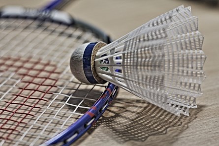 Badminton 1019110 1920